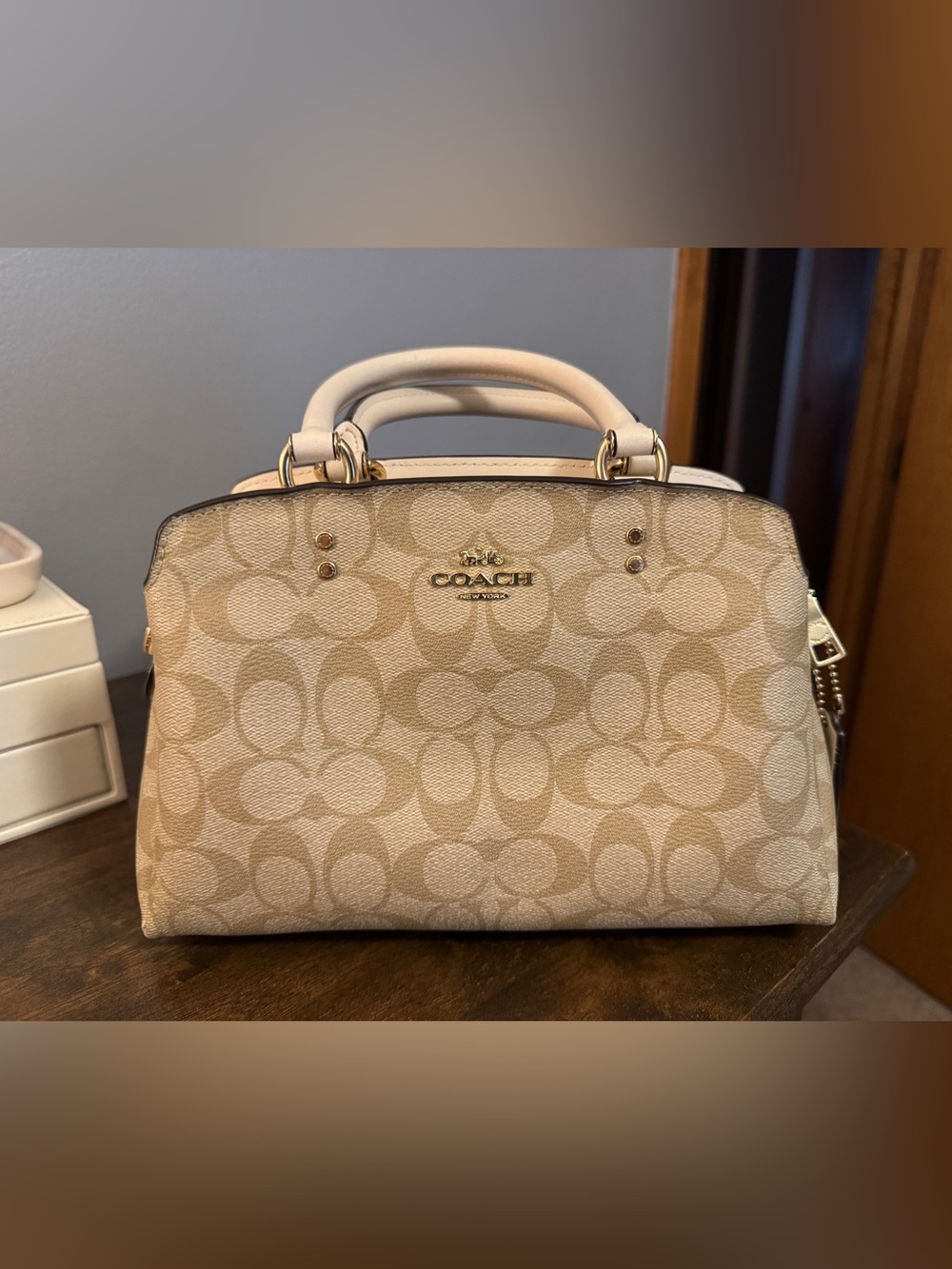 Coach Mini Lillie Carryall